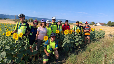 GRUPO MIXTO: ULTIMA RUTA REALIZADA: 2026_07_11: ALSASUA-ORDOÑANA-SONDEO-LA LEZE-ARAIA